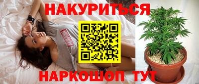 каннабис Новодвинск