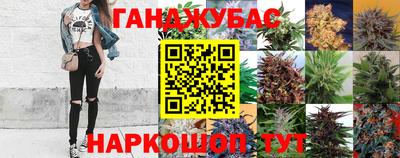 молекула духа Новокубанск