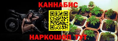 молекула духа Новокубанск