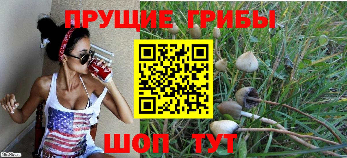 Галлюциногенные грибы мицелий  Вход с VPN  Тавда 