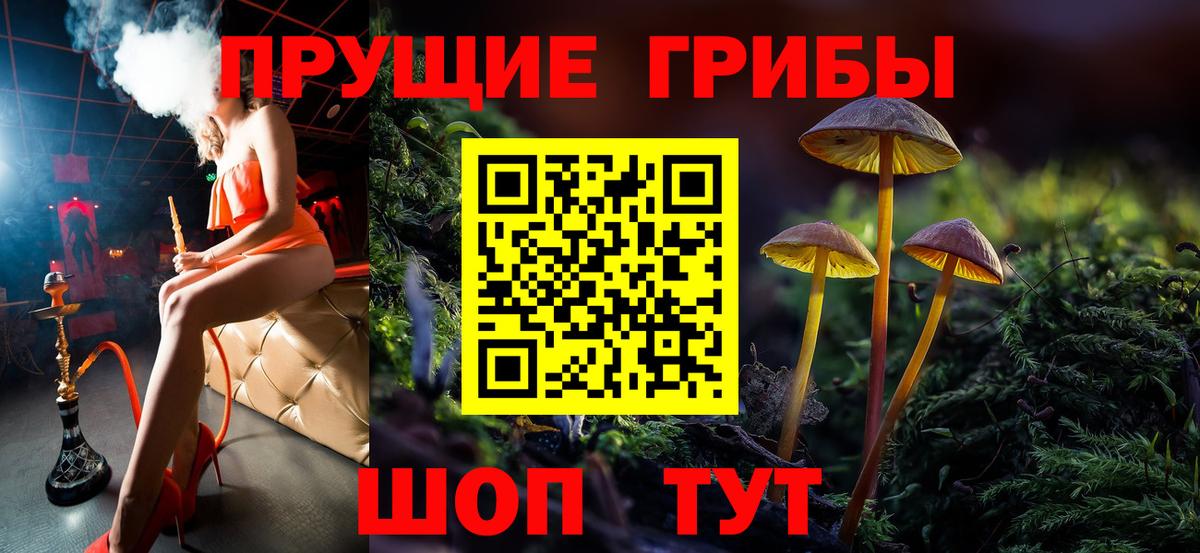 Галлюциногенные грибы Cubensis Тавда